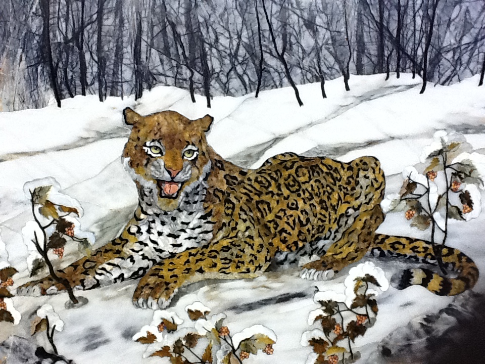 Leopard winter
