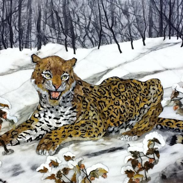 Леопард зимой