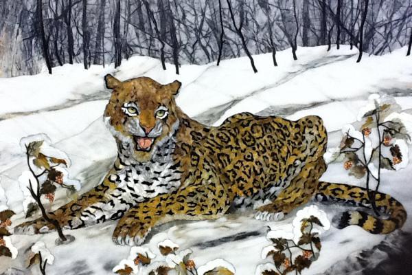 Leopard winter